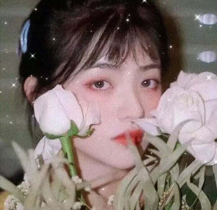 桃李春风 海报