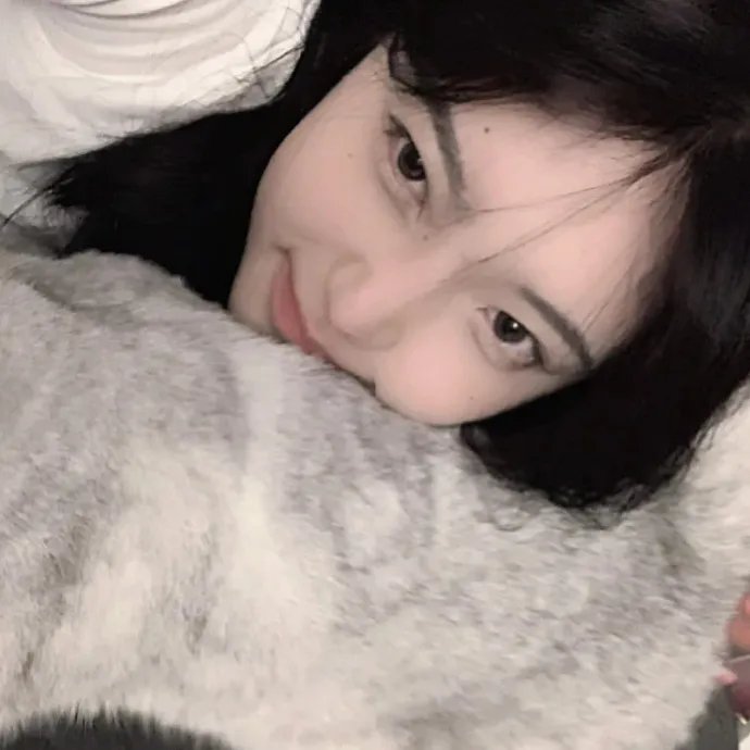 当女孩遇到熊 海报