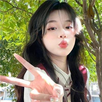 华丽的休假 海报